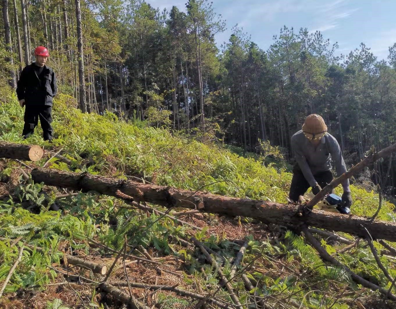 筑牢安全防線，守護一方平安 ——將溪分公司安全生產工作紀實
