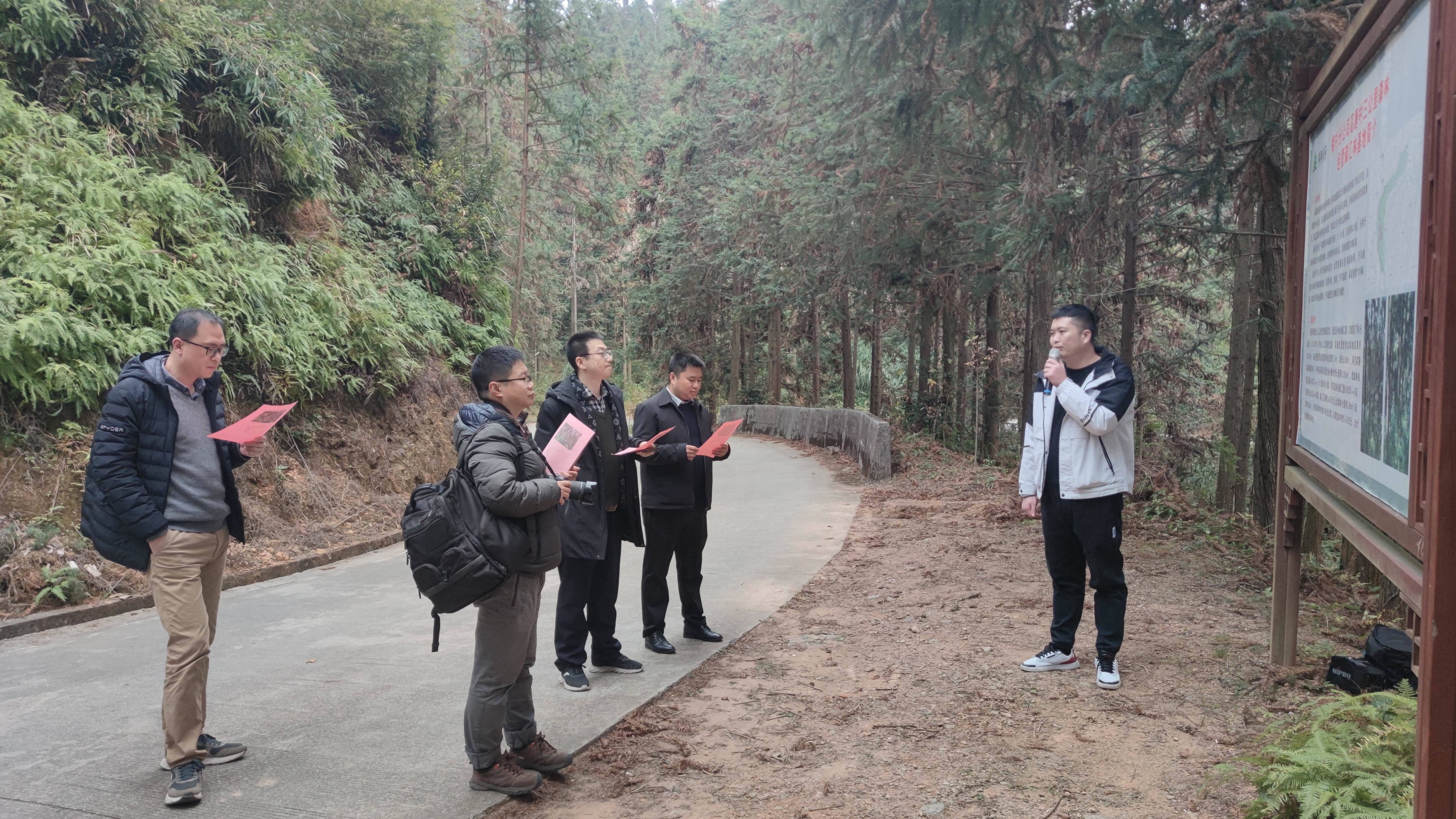 福建金森與上海園林集團(tuán)——強(qiáng)強(qiáng)交流促合作,共繪林改新藍(lán)圖 福建金森與上海園林集團(tuán)——強(qiáng)強(qiáng)交流促合作,共繪林改新藍(lán)圖